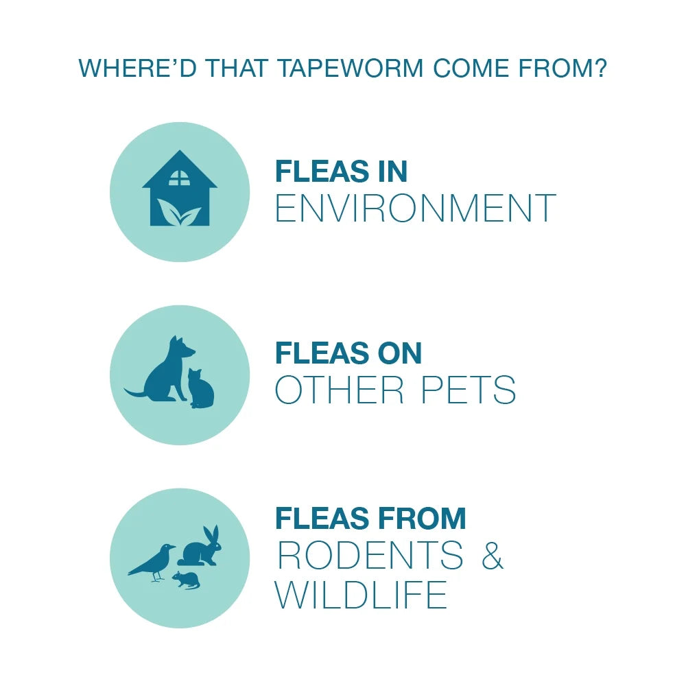 Elanco Tapeworm Removal Dewormer for Cats, 3 Tablets Praziquantel
