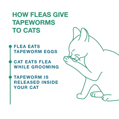 Elanco Tapeworm Removal Dewormer for Cats, 3 Tablets Praziquantel