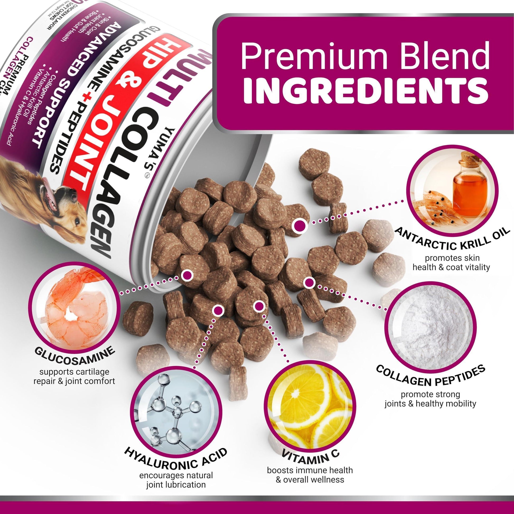 Collagen for Dogs Hip and Joint Supplement Skin and Coat 170 Soft Chews