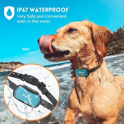 Rechargeable Puppy Collar, Anti-Barking with 7 Levels, Waterproof, for Small to Large Dogs