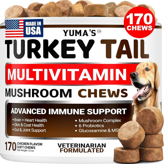 Turkey Tail Mushroom for Dogs Vitamins and Supplements for Dogs Lumps and Bumps Guard Multivitamin Buddy