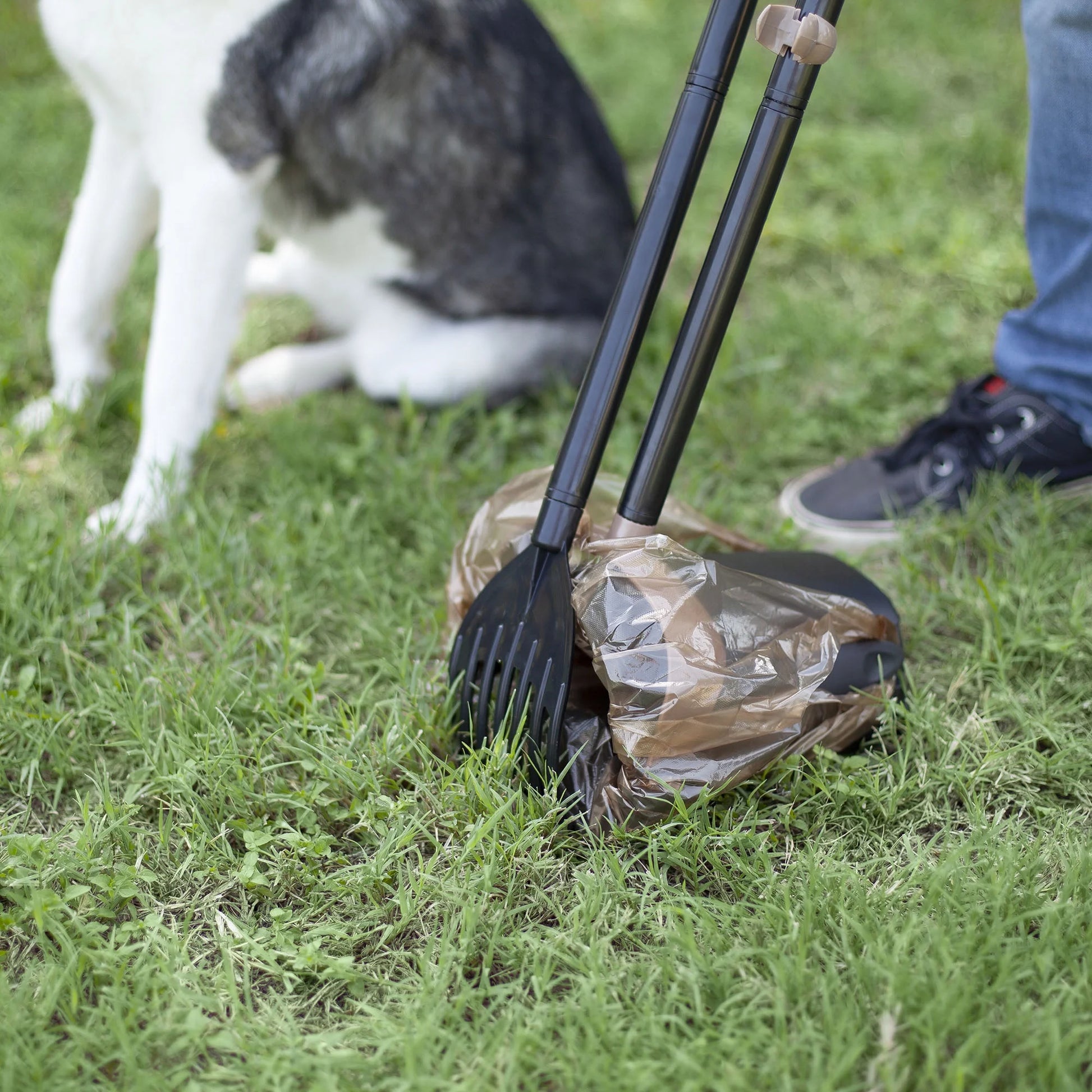 Pooper Scooper Swivel Bin and Rake Dog Poop Scooper with 2 Odor Eliminating Bags, Black