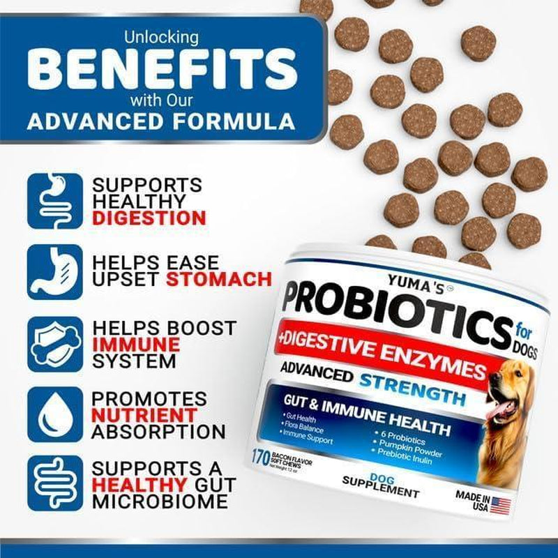 Probiotics for Dogs 170 Chews Bacon Flavor Immune Support Gut Health Chews