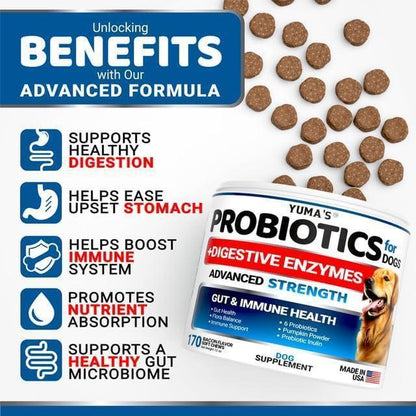 Probiotics for Dogs 170 Chews Bacon Flavor Immune Support Gut Health Chews