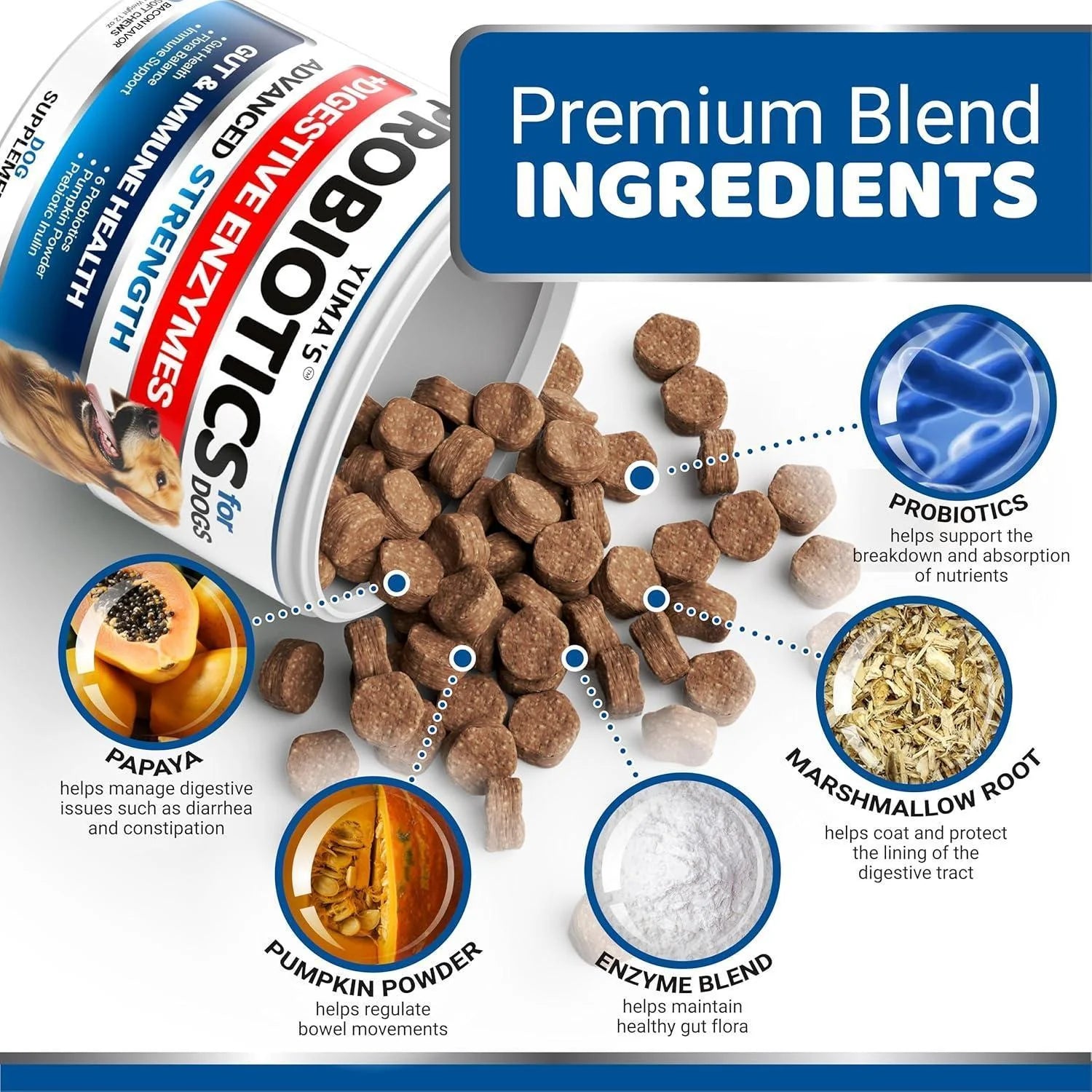 Probiotics for Dogs 170 Chews Bacon Flavor Immune Support Gut Health Chews