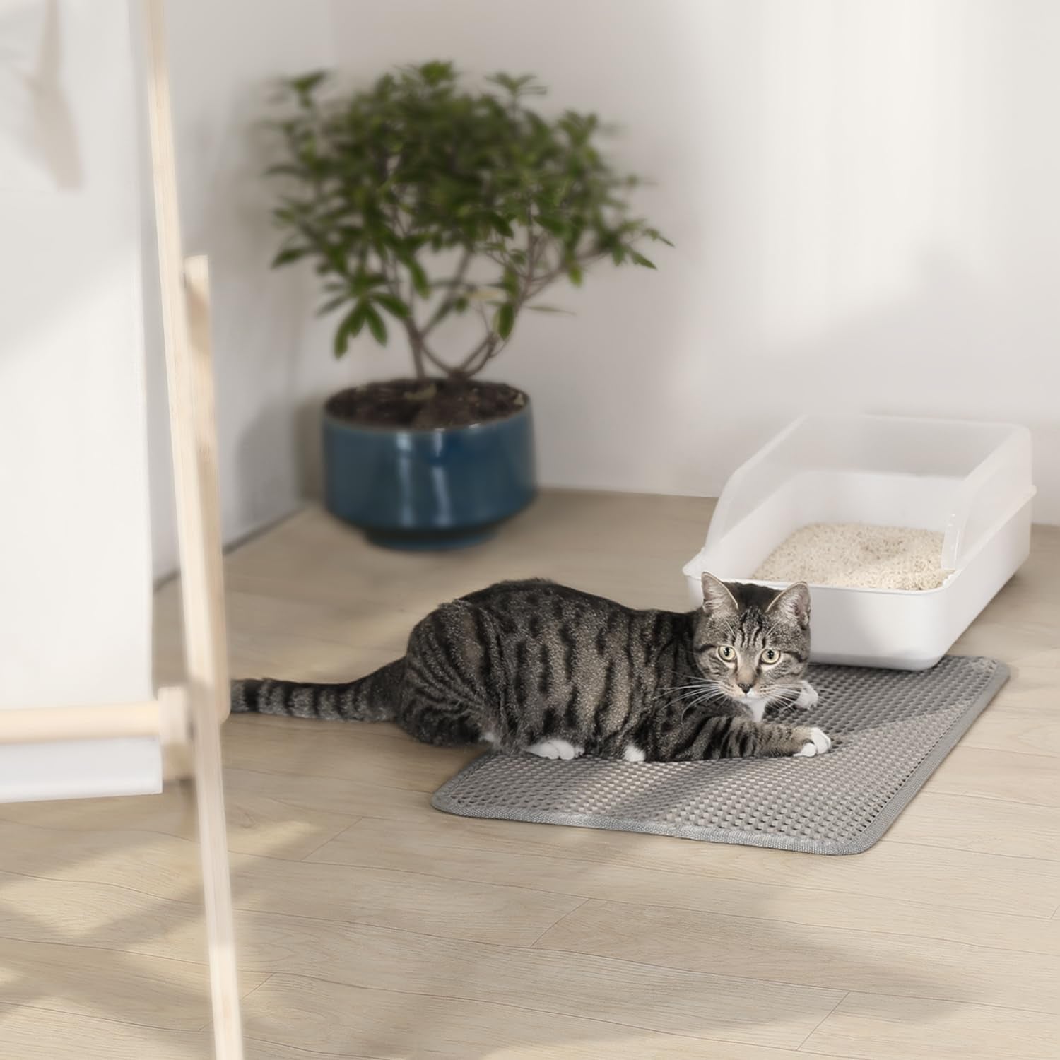 Cat Litter Trapping Mat for Small Spaces, 23.6"X14.6" Space-Saving Litter Box Floor Mat, Hexagon Grids & Anti-Leak Base, Machine Washable, Non-Slip Kitty Matt for Apartment, Gray