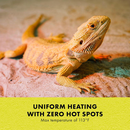 Heat Mat, Terrarium Heater for Reptiles, Snakes (Ball Pythons, Corn Snakes), Leopard Geckos, Tortoises, Amphibians and Arachnids, Medium, Fits 30-40 Gallon, 16 Watt
