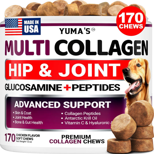 Collagen for Dogs Hip and Joint Supplement Skin and Coat 170 Soft Chews