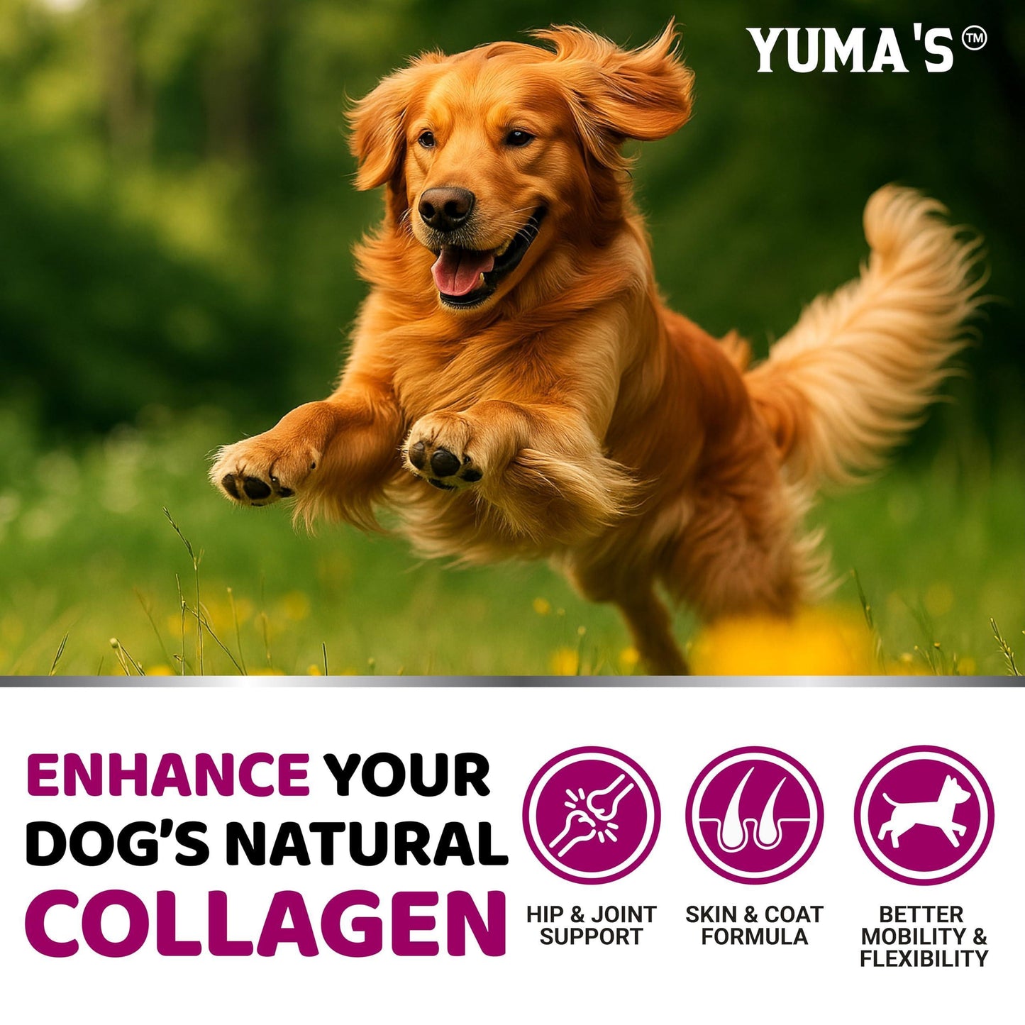 Collagen for Dogs Hip and Joint Supplement Skin and Coat 170 Soft Chews