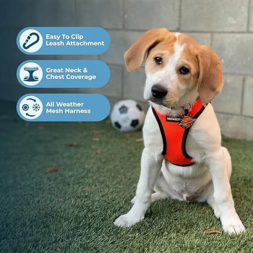 Step-In Air Dog Harness - All Weather Mesh Step in Vest Harness for Small and Medium Dogs and Cats by Best Pet Supplies - Harness (Orange/Black Trim), XL (Chest: 20.5-23")