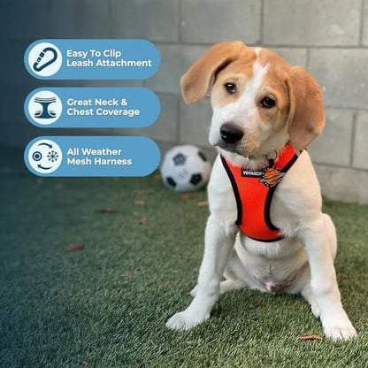 Step-In Air Dog Harness - All Weather Mesh Step in Vest Harness for Small and Medium Dogs and Cats by Best Pet Supplies - Harness (Orange/Black Trim), XL (Chest: 20.5-23")